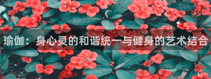 凯捷体育官方平台