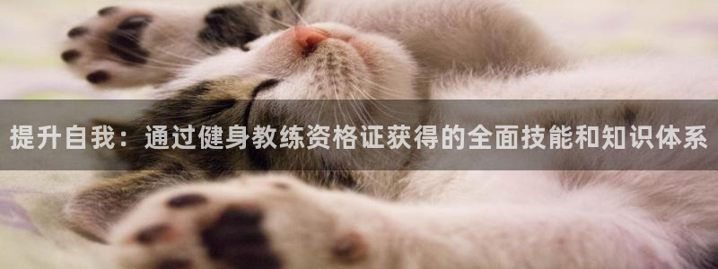 凯捷体育官网