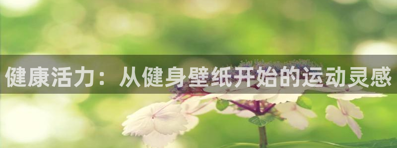 凯捷体育代理