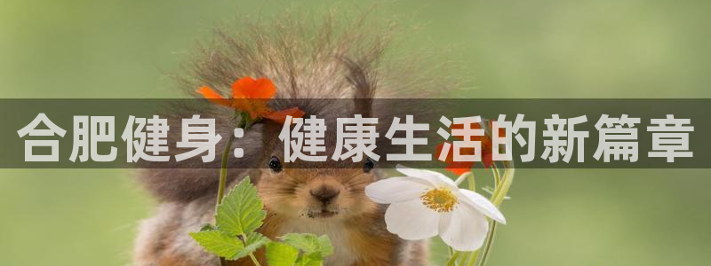 凯捷体育招商